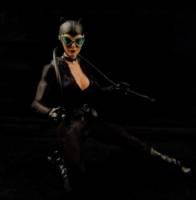 Catwoman (Batman) Custom Action Figure