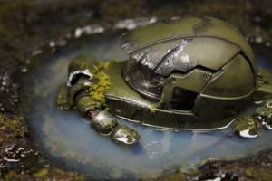 MS-06 ZAKU II Gundam Exceed Diorama (Gundam) Custom Diorama / Playset