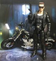 Terminator (Terminator) Custom Action Figure