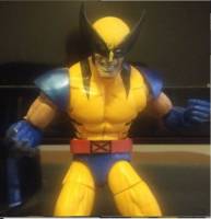 Custom Tiger Stripe Wolverine (Marvel Legends) Custom Action Figure