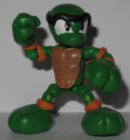 Troy the Turtle (Sonic) Custom Action Figure