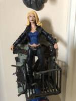 Black Canary (DC Universe) Custom Action Figure