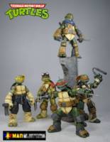 Teenage Mutant Ninja Turtles (Teenage Mutant Ninja Turtles) Custom Action Figure