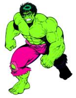 Savage Incredible Hulk 1970/1980s Buscema/Romita (Incredible Hulk) Custom Action Figure