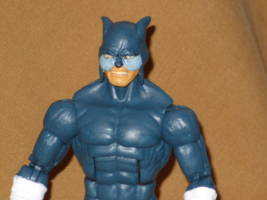 Wildcat (DC Universe) Custom Action Figure