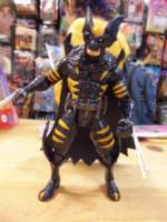 Darkclaw (Batman) Custom Action Figure