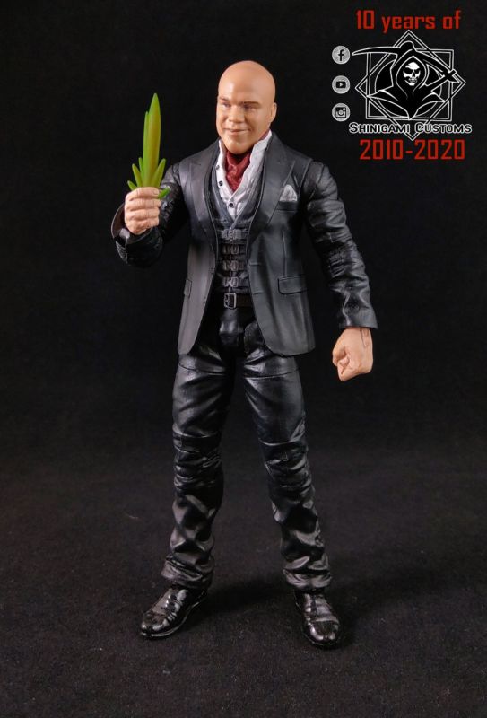 Lex Luthor (Superman) Custom Action Figure