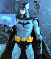 Batman (DC Universe) Custom Action Figure