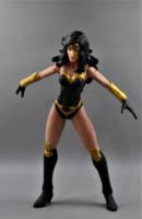 Warrior Woman/Power Princess (Marvel) Custom Action Figure