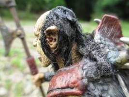 Sharku, warg rider into foot soldier, custom of the toybiz figure (Lord of the Rings) Custom Action Figure