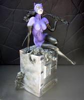Catwoman (DC Direct) Custom Action Figure