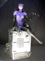 Catwoman (DC Direct) Custom Action Figure