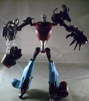 Transformers Animated Cykill (Transformers - Animated) Custom Action Figure