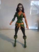 Cheshire (DC Universe) Custom Action Figure