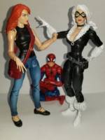 Marvel Legends Black Cat (Marvel Legends) Custom Action Figure