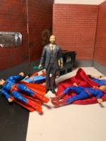 Lex Luthor CW (Arrowverse) (Crisis on Infinite Earths) (Supergirl) (Jon Cryer) (DC Universe) Custom Action Figure