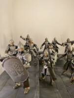 Soldiers of Gondor (Lord of the Rings) Custom Action Figure