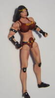 D.C. Legends Big Barda/ Mr. Miracle 2-pack (DC Universe) Custom Action Figure