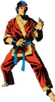 Shang-Chi (Marvel Universe) Custom Action Figure