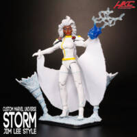 STORM (Ver. 3.0) X-men Jim Lee 1/18 scale with Typhoon base (Marvel Universe) Custom Action Figure