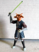Hoo-Joos – Gran Jedi (Star Wars) Custom Action Figure