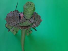 Motu Classics Snakeman (Masters of the Universe) Custom Action Figure