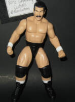 Dan "The Beast" Severn (Wrestling) Custom Action Figure