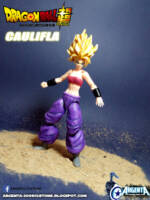 Caulifla (Dragonball Z) Custom Action Figure