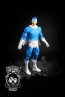 Dove (Donald Hall) (DC Universe) Custom Action Figure