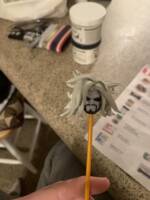 Lobo- the main man (DC Universe) Custom Action Figure