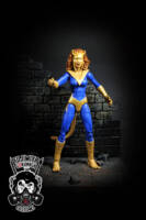 Pantha (DC Universe) Custom Action Figure