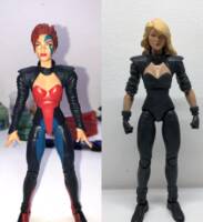 Black Canary (DC Icons) Custom Action Figure