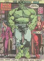 Professor Hulk ( first appearance ) (Incredible Hulk) Custom Action Figure