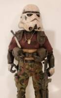 Pop Culture Stormtrooper (Star Wars) Custom Action Figure