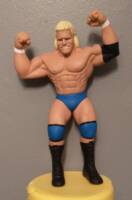 Sid Vicious (Wrestling) Custom Action Figure