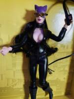 1/6 Catwoman (Danger Girl) Custom Action Figure