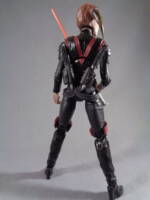 Darth Cognus (The Huntress) (Star Wars) Custom Action Figure