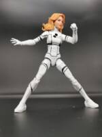 Invisible Woman (Future Foundation) V2 (Marvel Legends) Custom Action Figure
