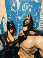 catwoman (Marvel Legends) Custom Action Figure
