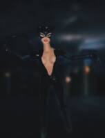 Catwoman (Batman - New Animated Series) Custom Action Figure