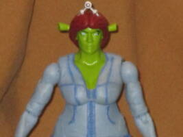 Shrek and Fiona (Movie Maniacs) Custom Action Figure