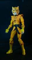 Bronze Tiger (DC Infinite Heroes) Custom Action Figure