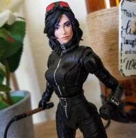 DC Catwoman (Batman) Custom Action Figure