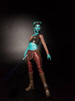 Aayla Secura (Star Wars) Custom Action Figure