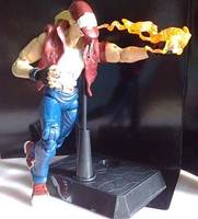 Terry Bogard of Fatal Fury (Capcom vs. SNK) Custom Action Figure