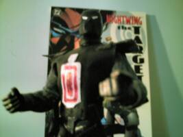 The Target (DC Direct) Custom Action Figure