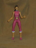 Chameleon Girl (Legion of Superheroes) Custom Action Figure