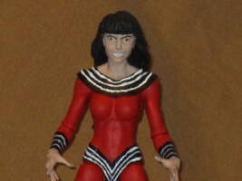 Life Lass (DC Multiverse) Custom Action Figure