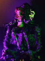 The Goblin Queen, Mutant X (Marvel Legends) Custom Action Figure