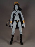 SHADOW LASS (Tasmia Mallor) Legion of Super-heroes (DC Universe) Custom Action Figure